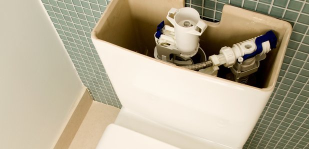 toilet