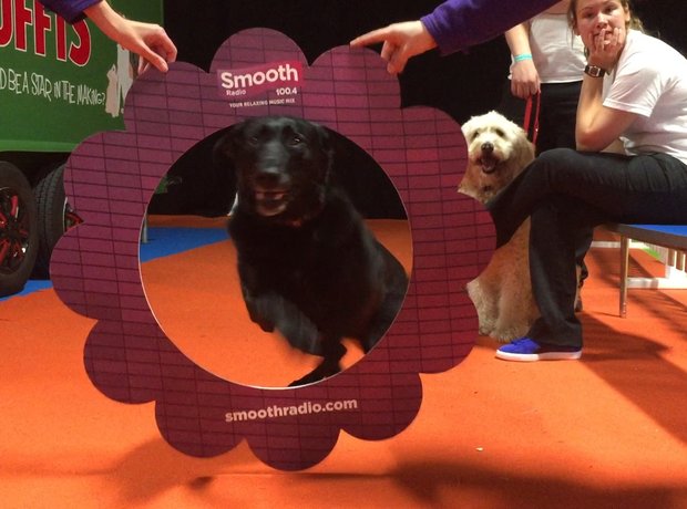 Family Pet Show 2014