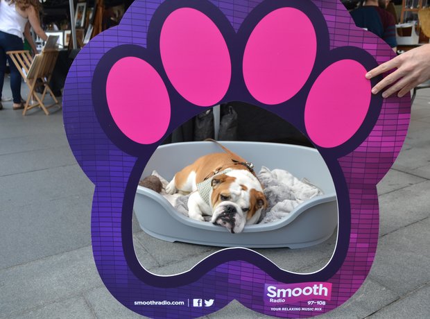 Mutts and Makers Market