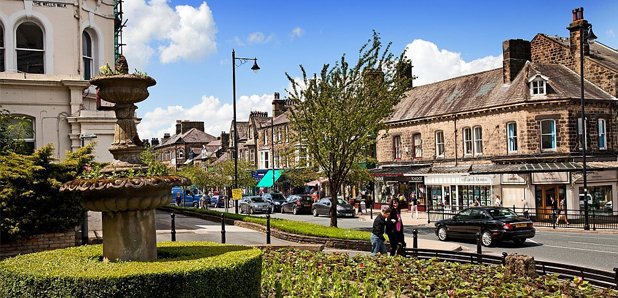 bradford image 1