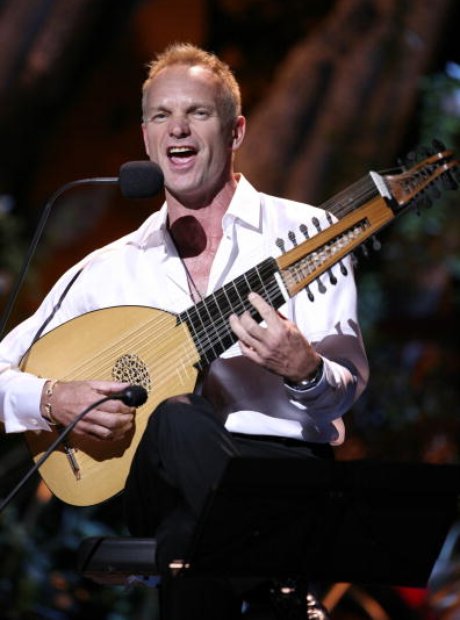 Sting lute