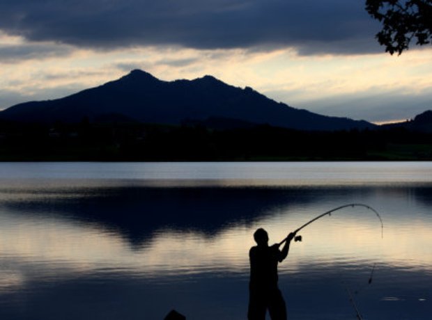 Inspiring photos of the day