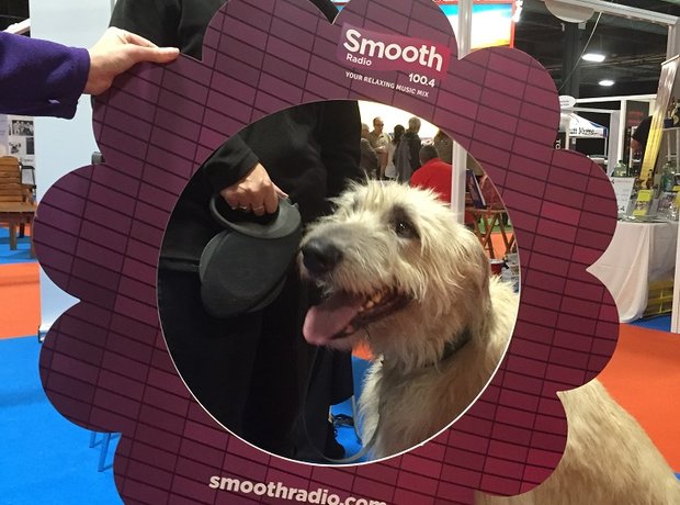 Family Pet Show 2014