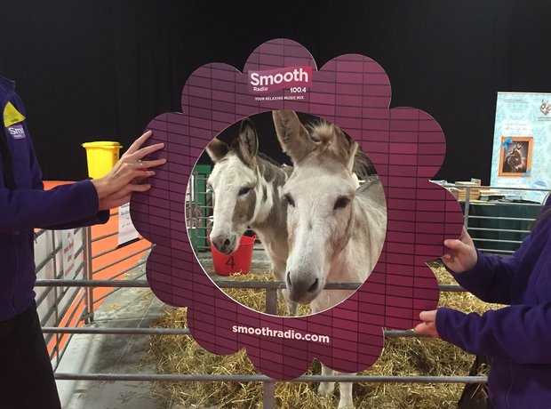 Family Pet Show 2014
