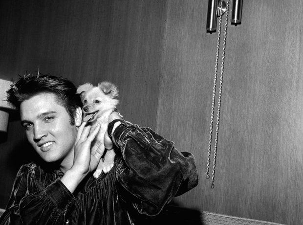 Elvis Presley