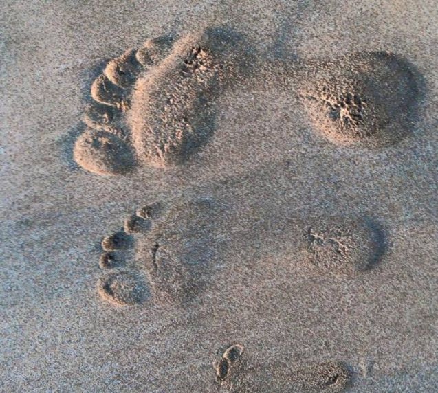 Michael Buble son footprint