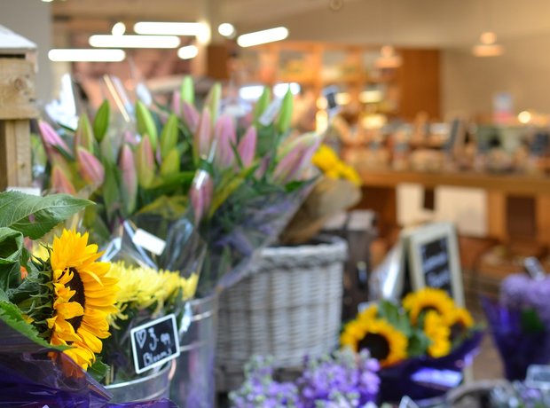 Bents Garden & Home VIP Launch Party