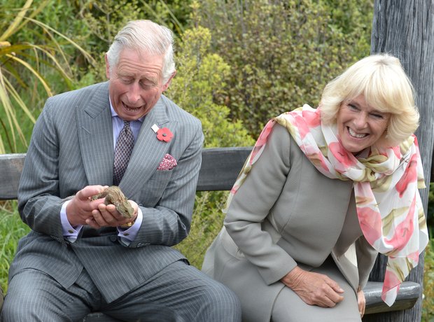 Charles Camilla New Zealand