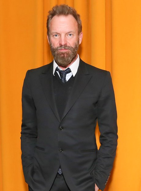 Sting in New York
