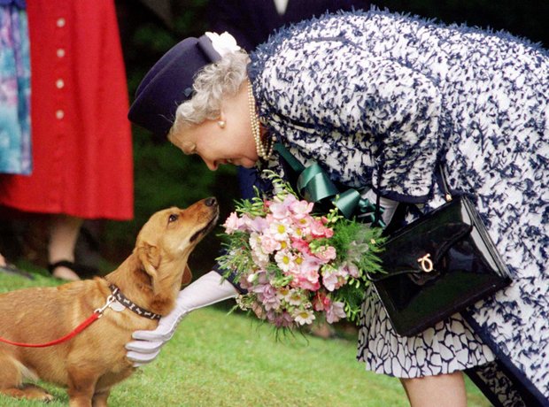 Queen's Life In Pictures