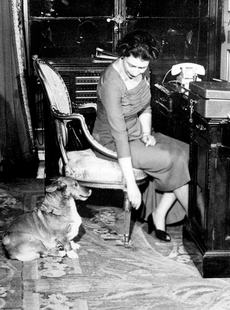 Queen's Life In Pictures