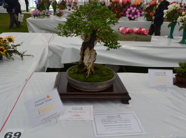 Southport Flower Show 16