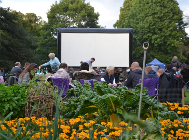 Summer Nights Film