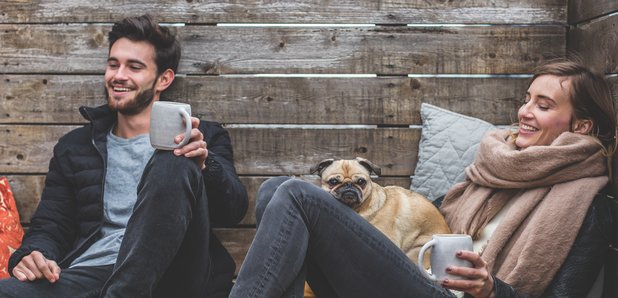 Pets in a pickle