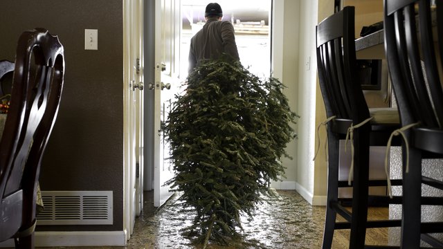 52 HQ Photos Taking Xmas Decorations Down - When Do You Take Down Your Christmas Tree Masshole Mommy
