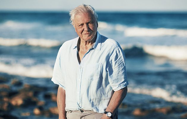 David Attenborough