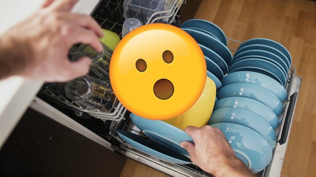Dishwasher amazed