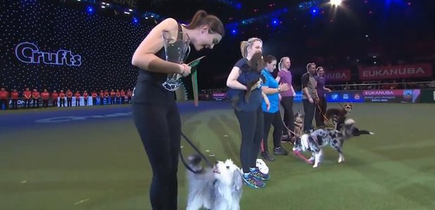 Crufts dancing best sale dogs 2018