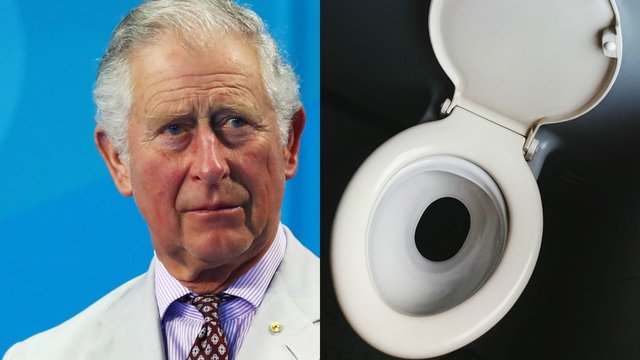 Prince Charles / toilet seat