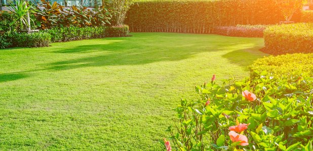 Win A Garden Makeover With Wilson Paving Landscaping Smooth Garden Makeover