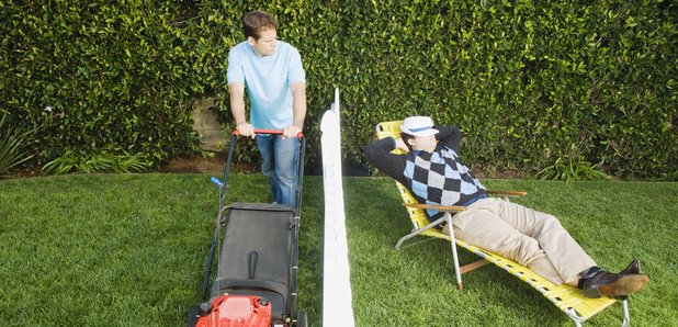 Garden lawn mowing generic