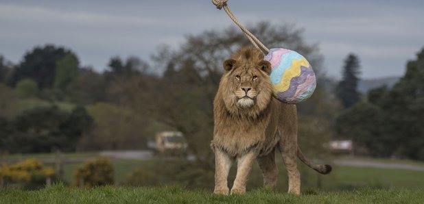 West Midland Safari Park