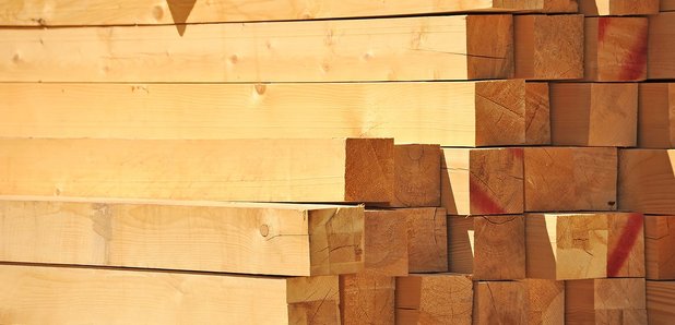 Essex Timber