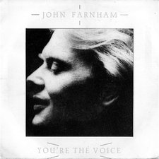 You're The Voice artwork
