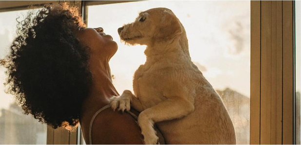 The Happy Dog Treats Company